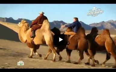 Гастрономическое путешествие по Монголии