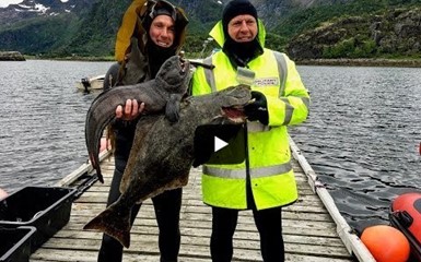 Норвегия. Подводная охота