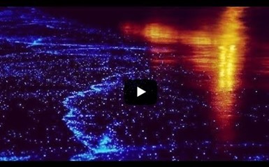 Биолюминесцентное свечение планктона