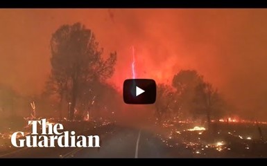 Огненный смерч во время лесного пожара на севере Калифорнии