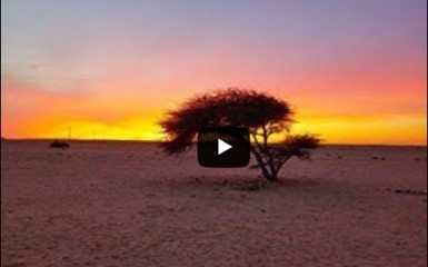Путешествие по Западной Сахаре