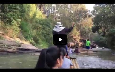 Игривый слон «утопил» туристов