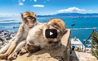 Гибралтар – Место, где Европа встречается с Африкой