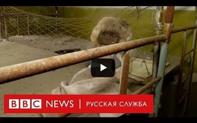 Туристический бум в Припяти после сериала «Чернобыль» 