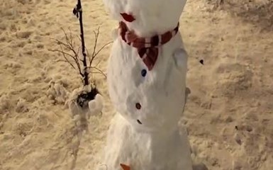 Снеговик – проказник из Подмосковья 