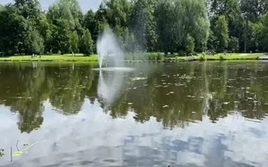 Парк Зеленоградска - В этом году в ТОПе