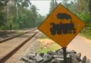 Пользуйтесь железными дорогами Шри-Ланки