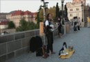  Человек оркестр на Карловом Мосту в Праге.
