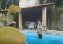 Топ неудачных прыжков в бассейн
