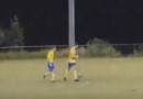 В Австралии коала решил сыграть в футбол