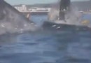 Огромный кит напал на туристов