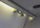 Змея перепугала пассажиров самолета