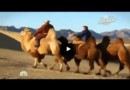 Гастрономическое путешествие по Монголии