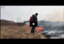 Природные пожары в Амурской области