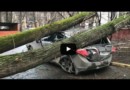 Шокирующие последствия урагана в выходные в Москве и области