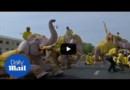 Величественные слоны маршируют и кланяются в честь нового короля Таиланда
