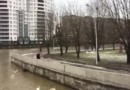 Очарование Калининграда 