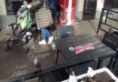 Пернатые «оккупанты» на улицах Москвы