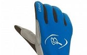 Перчатки беговые Bjorn Daehlie Glove BRISK Ocean Blue/Black (синий/черный)