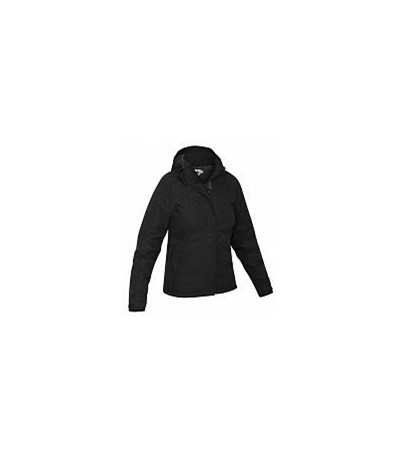 Куртка туристическая Salewa Alpine Active CLASTIC PTX W JKT black/0780 i.0900 - Увеличить