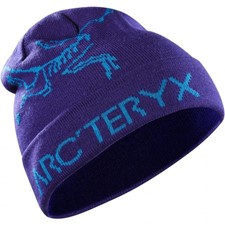 Arcteryx Rolling Word фиолетовый
