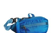 Patagonia Lightweght Travel Mini Hip Pack 1L синий 1л