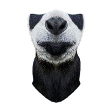 ветрозащитная Funtomask "Панда" черный ONE