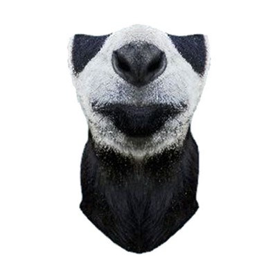 ветрозащитная Funtomask "Панда" черный ONE - Увеличить