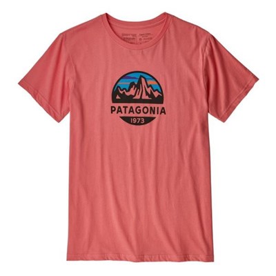 Patagonia Fitz Roy Scope Organic T-Shirt - Увеличить