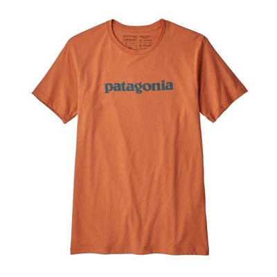 Patagonia Text Logo Organic T-Shirt - Увеличить