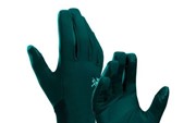 Arcteryx Venta Glove