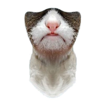 ветрозащитная Funtomask "Грустный кот" серый ONE - Увеличить