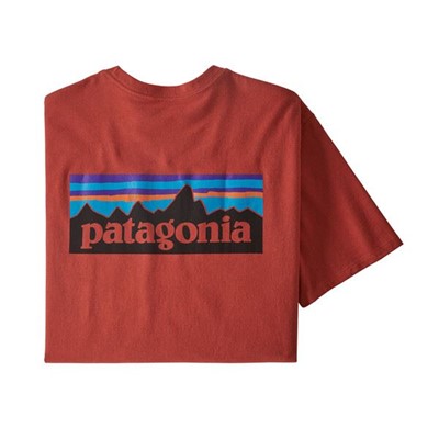 Patagonia P-6 Logo Responsibili-Tee - Увеличить