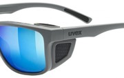 Uvex Sunglasses 312 серый