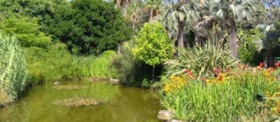Ботанический сад Маримуртра