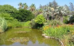 Ботанический сад Маримуртра
