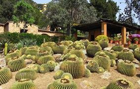 Кактусовый сад Пинья-де-Роса