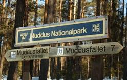 Национальный парк Муддус