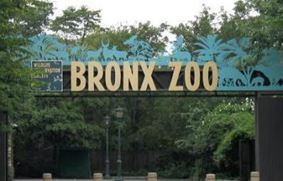 Бронкский зоопарк