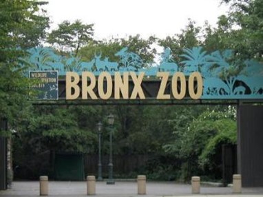 Бронкский зоопарк