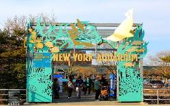 Нью-Йоркский аквариум