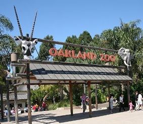 Зоопарк Окленда
