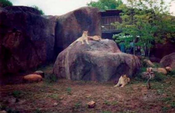 Зоопарк округа Седжвик