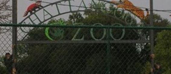 Зоопарк Чаттануги