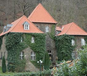 Замок Шелленберг