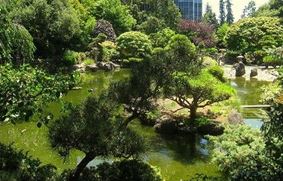 Японский чайный сад в Сан-Матео