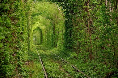 «Тоннель любви» в городе Клевань