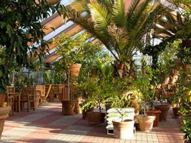 Цитрусовый сад