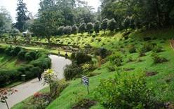 Ботанический Сад Хакгала