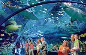 Ripley's Aquarium – самый большой аквариум в Канаде